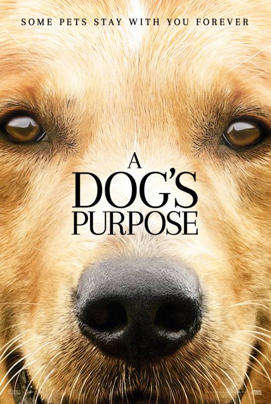 a dogs purpose movie poster